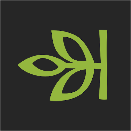 Ancestry: Family History & DNA cover