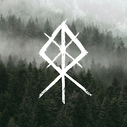 Viking Rise cover