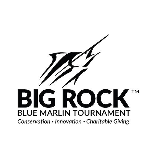 The Big Rock cover