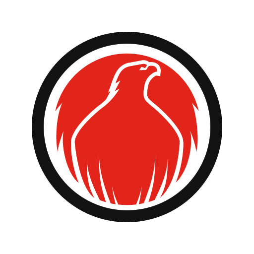 The Phoenix: A sober community cover